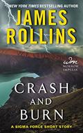 Read Crash and Burn: A Sigma Force Short Story (Kindle Single), written by James Rollins