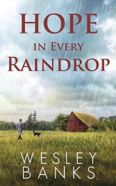 Hope In Every Raindrop (Kyle Walker Book 2), written by Wesley Banks