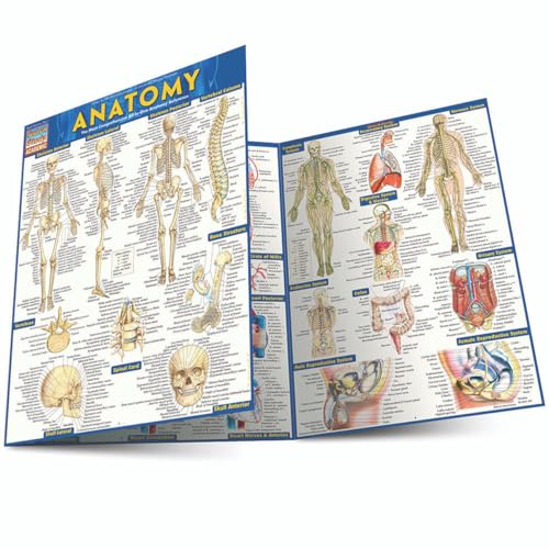 Read Anatomy QuickStudy Laminated Reference Guide (QuickStudy Academic), written by Vincent Perez Read Anatomy QuickStudy Laminated Reference Guide (QuickStudy Academic), written by Vincent Perez