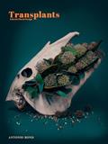 Read Transplants: Eclectic Floral Design, written by Antonio Bond