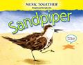 Read Sandpiper, written by Kenneth K. Guilmartin