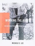 Read Working The Roots: Over 400 Years of Traditional African American Healing, written by Michele Elizabeth Lee