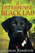 Read A Determined Black Lab, written by Thomas Kendrick