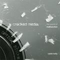 Read Cracked Media: The Sound of Malfunction (Mit Press), written by Lecturer in Electronic Arts Caleb Kelly