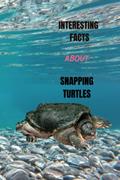 Read INTERESTING FACTS ABOUT SNAPPING TURTLES, written by Andrea Nolan