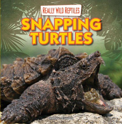 Read Snapping Turtles (Really Wild Reptiles), written by Kathleen Connors