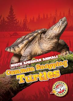 Common Snapping Turtles (North American Animals), written by Rebecca Sabelko