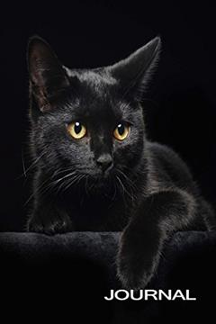Black Cat Journal (The Black Cat Series), written by Snapping Turtle Books