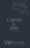 Read Carter & Aria: Merciless (Discreet Series), written by W. Winters; Willow Winters