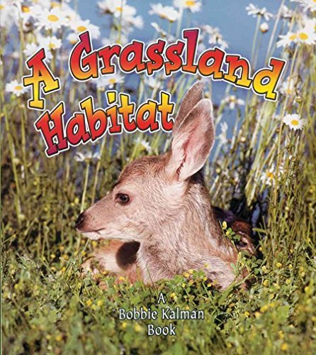 Read A Grassland Habitat (Introducing Habitats), written by Kelley MacAulay Read A Grassland Habitat (Introducing Habitats), written by Kelley MacAulay