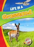 Read Life in a Grassland (Blastoff! Readers: Biomes Alive!) (Biomes Alive!: Blastoff! Readers, Level 3), written by Laura Hamilton Waxman
