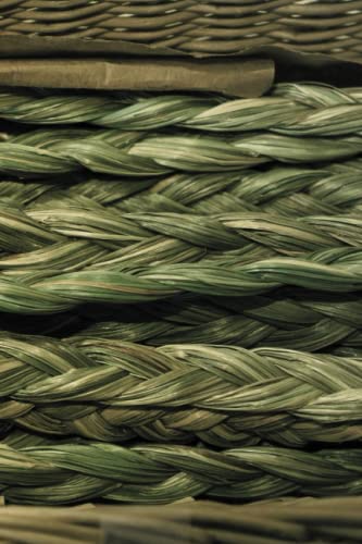 Read Braided Sweetgrass Notebook Journal, written by Rachel Andrew-Nelson