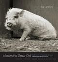 Read Allowed to Grow Old: Portraits of Elderly Animals from Farm Sanctuaries, written by Isa Leshko; Anne Wilkes Tucker; Gene Baur Read Allowed to Grow Old: Portraits of Elderly Animals from Farm Sanctuaries, written by Isa Leshko; Anne Wilkes Tucker; Gene Baur