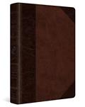 Read ESV Personal Reference Bible (TruTone, Brown/Walnut, Portfolio Design), written by ESV Bibles