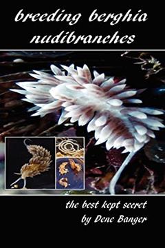 Breeding Berghia Nudibranches the best kept secret, written by Dene Banger