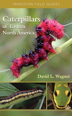 Caterpillars of Eastern North America: A Guide to Identification and Natural History (Princeton Field Guides), written by David L. Wagner