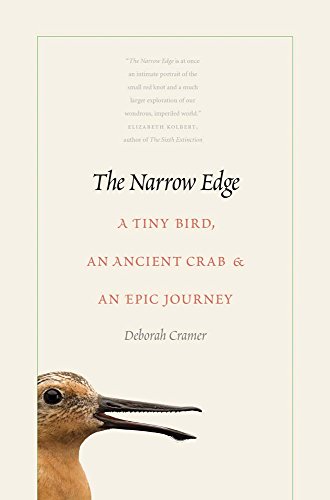 Read The Narrow Edge: A Tiny Bird, an Ancient Crab, and an Epic Journey, written by Deborah Cramer Read The Narrow Edge: A Tiny Bird, an Ancient Crab, and an Epic Journey, written by Deborah Cramer