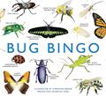 Read Laurence King Bug Bingo, written by Christine Berrie