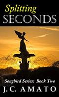 Read Splitting Seconds: Songbird Series: Book Two, written by J. C. Matheny
