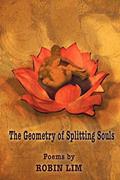 Read The Geometry of Splitting Souls, written by Robin Lim