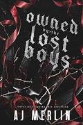 Read Owned By The Lost Boys, written by AJ Merlin
