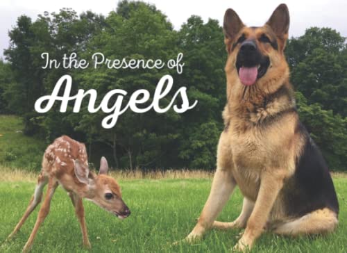 Read In the Presence of Angels (Bucky's Porch), written by Cheryl Stephen