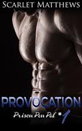 Read Provocation: Prison Pen Pal #1, written by Scarlet Matthews; Laila Lake