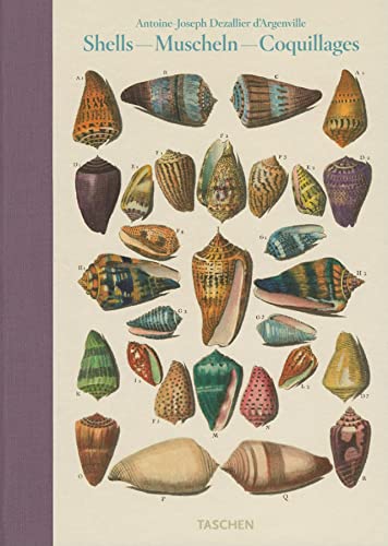 Read Shells - Muscheln - Coquillages: Conchology or the Natural History of Sea, Freshwater, Terrestrial and Fossil Shells 1780, written by Antione-Joseph Dezallier d'Argenville Read Shells - Muscheln - Coquillages: Conchology or the Natural History of Sea, Freshwater, Terrestrial and Fossil Shells 1780, written by Antione-Joseph Dezallier d'Argenville