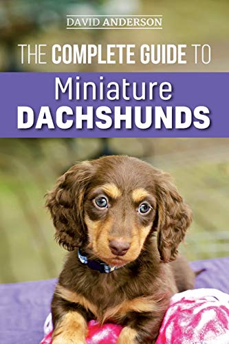 Read The Complete Guide to Miniature Dachshunds: A step-by-step guide to successfully raising your new Miniature Dachshund, written by David Anderson Read The Complete Guide to Miniature Dachshunds: A step-by-step guide to successfully raising your new Miniature Dachshund, written by David Anderson