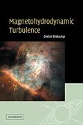 Read Magnetohydrodynamic Turbulence, written by Dieter Biskamp