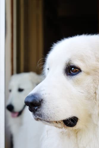 Read Great Pyrenees Notebook: 6x9 College Ruled 120 Page Composition Book, Blank Lined Dog Journal for Great Pyr Owners and Lovers, written by Lotus Blooms Publishing