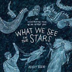 What We See in the Stars: An Illustrated Tour of the Night Sky, written by Kelsey Oseid