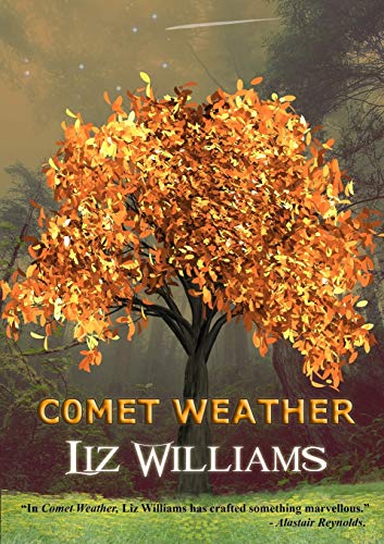 Read Comet Weather, written by Liz Williams Read Comet Weather, written by Liz Williams