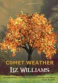 Read Comet Weather, written by Liz Williams