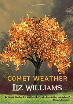 Comet Weather, written by Liz Williams