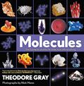 Read Molecules: The Elements and the Architecture of Everything, written by Theodore Gray