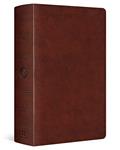 Read ESV Large Print Personal Size Bible (TruTone, Chestnut), written by ESV Bibles