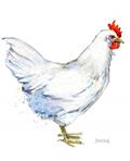 Read Journal: White Leghorn Hen (Chicken Collection), written by Dreamflight Publications
