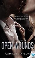 Read Open Wounds (Harbour Bay Book 2), written by Camille Taylor