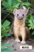 Read Weasel: Composition Notebook For Weasel Lovers , Weasel Lined Journal ,6x9 Inches , 110 Pages ,Weasel Diary, written by Yenx D16 Publishing