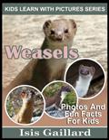 Read Weasels: Photos and Fun Facts for Kids (Kids Learn With Pictures), written by Isis Gaillard
