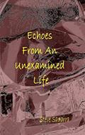 Read Echoes From An Unexamined Life, written by Steve Sagarra