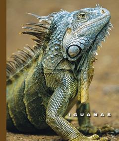 Iguanas (The World of Reptiles Book 1256), written by Sophie Lockwood
