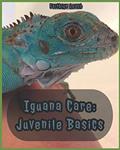 Read Iguana Care: Juvenile Basics, written by Faithlyn Leach