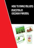 Read HOW TO MAKE MILLIONS IN CASSAVA PROCESSING, written by EMMANUEL AWOTWE