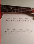 Read Open Tunings songbook for Ukulele, written by Ondrej Sarek
