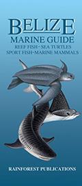 Read Belize Marine Guide, written by Rainforest Publications