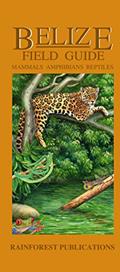 Read Belize Wildlife Guide - Mammals, Reptiles, Amphibians (Laminated Foldout Pocket Field Guide) (English and Spanish Edition), written by Rainforest Publications
