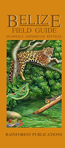 Belize Wildlife Guide - Mammals, Reptiles, Amphibians (Laminated Foldout Pocket Field Guide) (English and Spanish Edition), written by Rainforest Publications