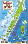 Read Ambergris Caye Belize Dive Map & Reef Creatures Waterproof Fish Card, written by Franko Maps Ltd.